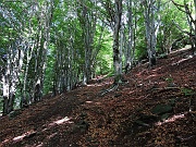 mtorr22 009
